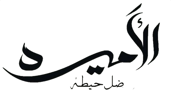 مسلسل الاميرة: ضل حيطة – الحلقة 10 العاشرة